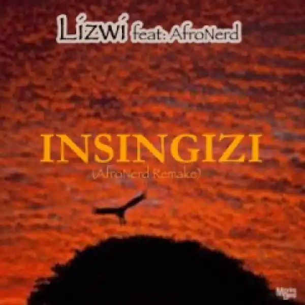 Lizwi - Insingizi (Afronerd Remake)